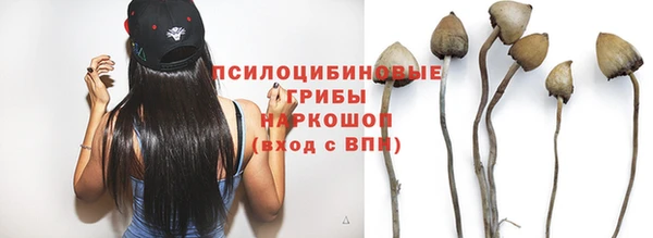 ECSTASY Верхний Тагил