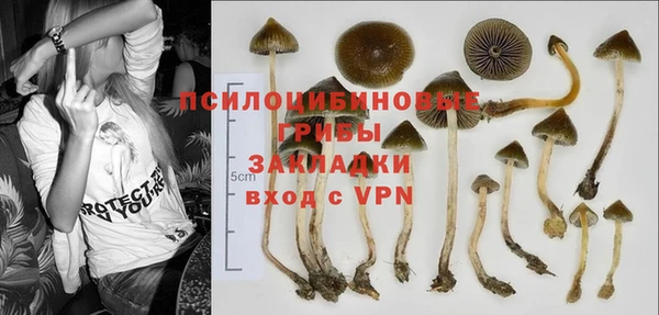 МДПВ Верея